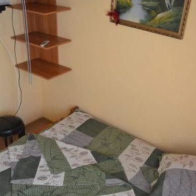 Гостевой дом Casa Radoi Костинешти