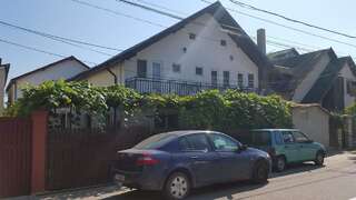Гостевой дом Casa Radoi Костинешти-0